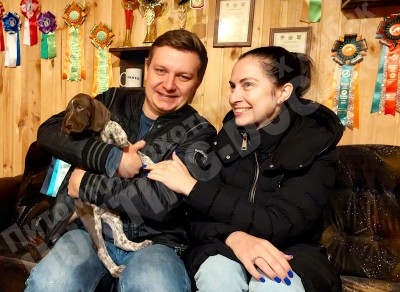 Новые владельцы